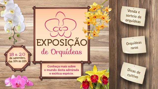 Banner_Exposição de Orquídeas_01
