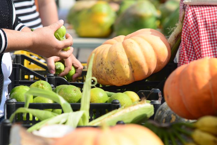 Feira no Pátio Alcântara