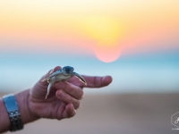 Bare-Sand-Island-NT__880