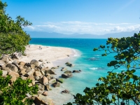 Nudey-Beach-Fitzroy-Island-QLD__880