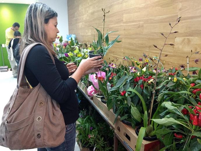 Mostra de Orquídeas - Pátio Alcântara