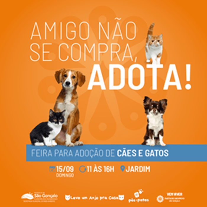 Feira de adoção de animais