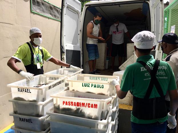 Mesa Brasil Sesc RJ distribui 6 toneladas de pescado apreendido em São Gonçalo