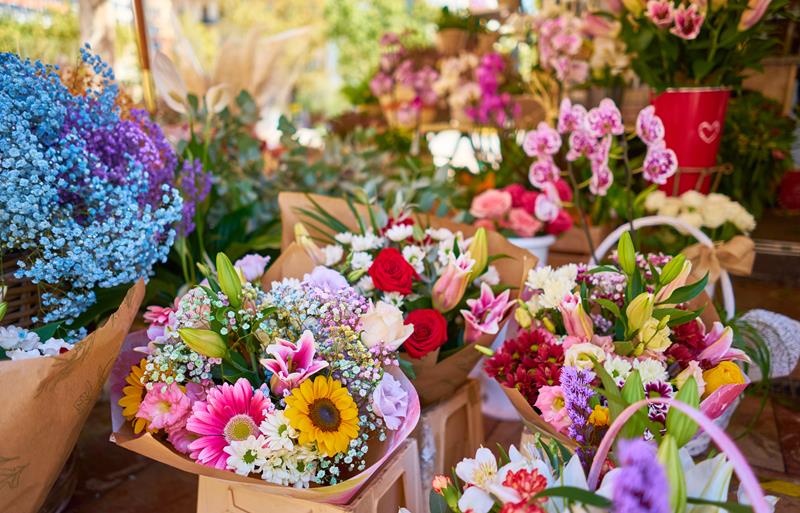 Festival de Flores