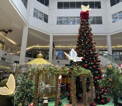 Shopping Multicenter Itaipu apresenta o encantador Jardim do Noel